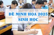 Đề minh họa môn Sinh 2025 thi tốt nghiệp THPT